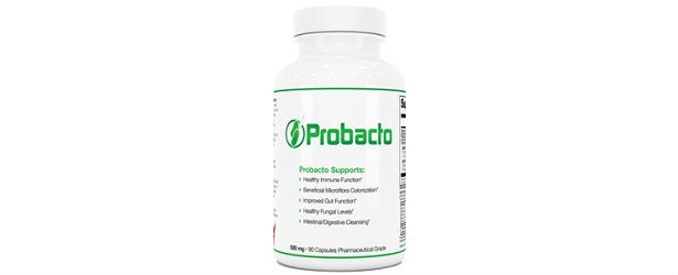 Probacto Probiotics for Candida Yeast Infection Review